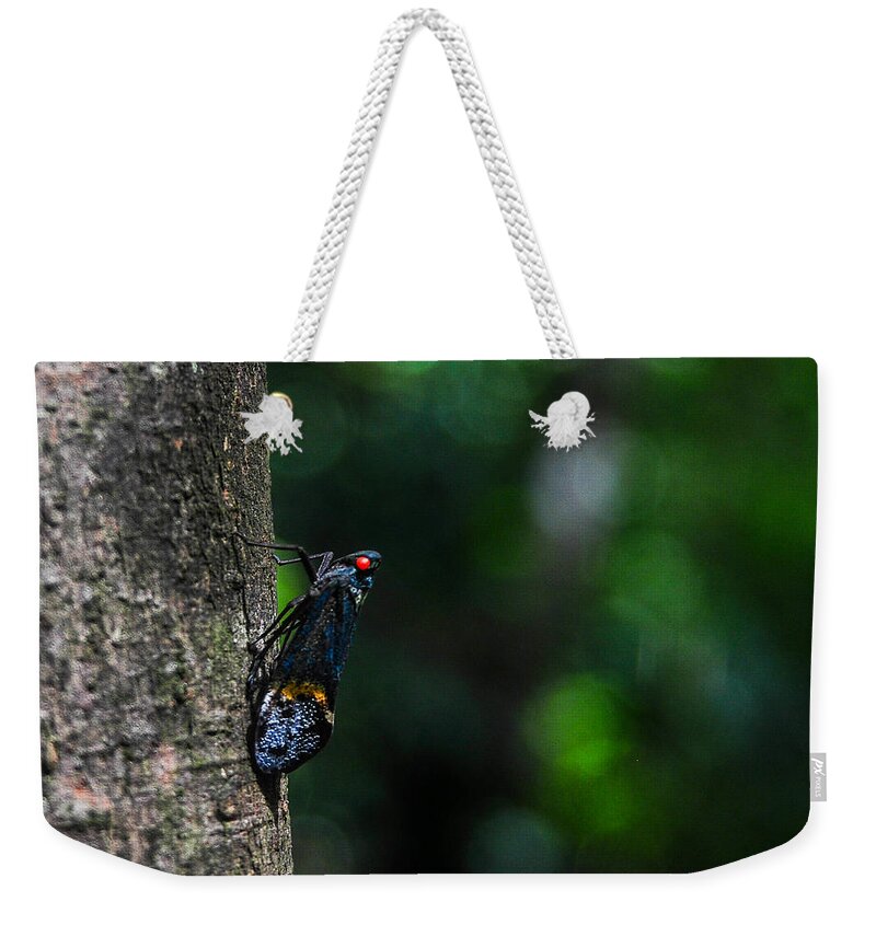 Wildlife Weekender Tote Bag featuring the photograph Plant hopper by Celebes Birdpacker