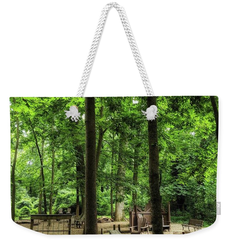Tree Weekender Tote Bag featuring the photograph Play in the Shade by Portia Olaughlin