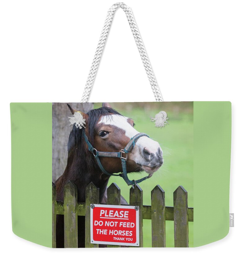 Horse Weekender Tote Bag featuring the photograph Please can I have an apple - horse - please do not feed the horses by Anita Nicholson