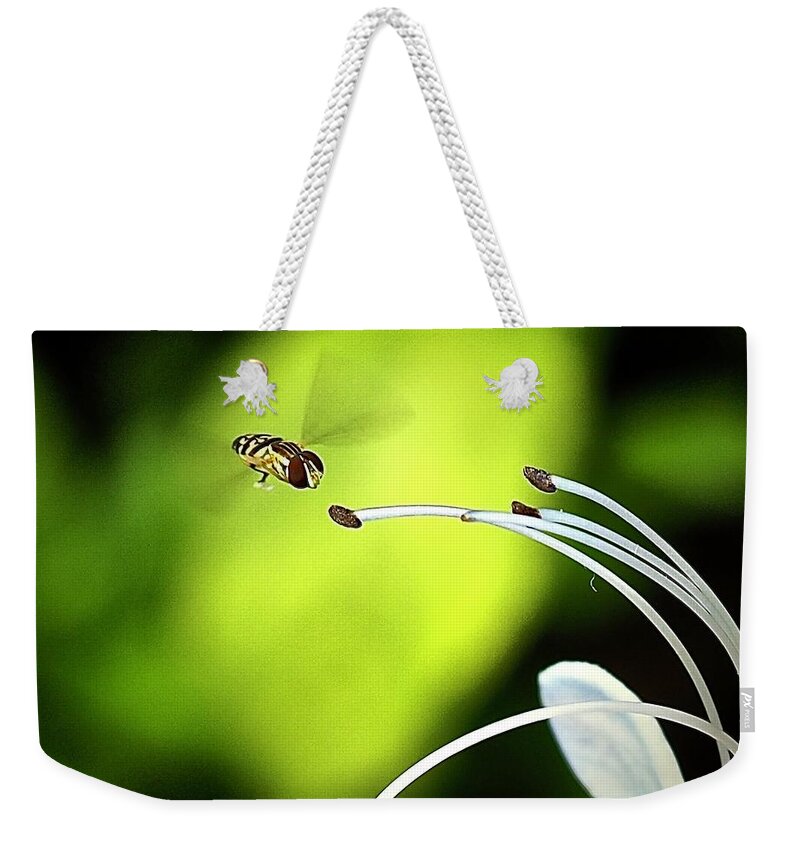 Nature Weekender Tote Bag featuring the photograph Please Touch by Alida M Haslett