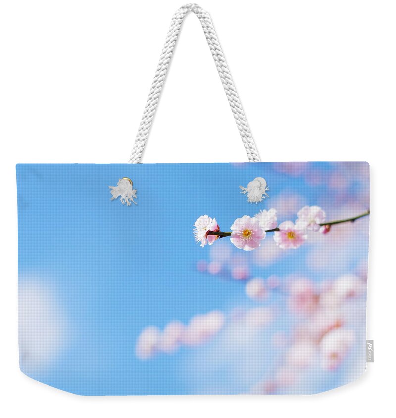Outdoors Weekender Tote Bag featuring the photograph Plum Blossom by Wander
