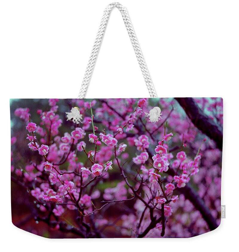 Plum Weekender Tote Bag featuring the photograph Plums On Rainy Day In Japan by Mosbies