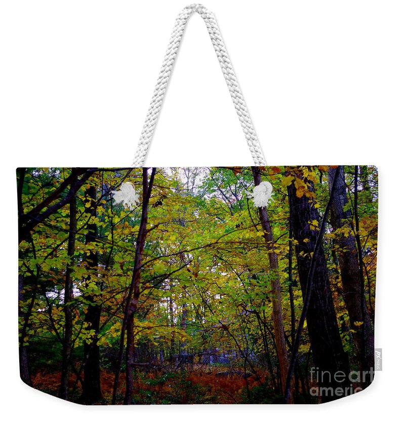 Poconos Autumn Archway In The Forest Weekender Tote Bag featuring the photograph Poconos Autumn Archway In The Forest by Barbra Telfer