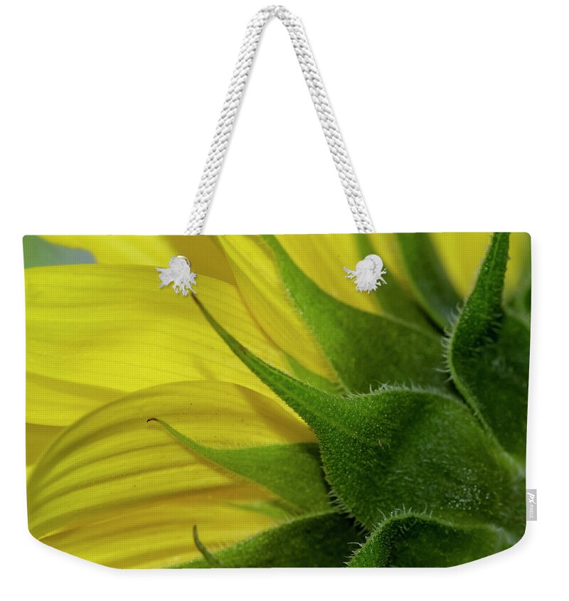 Yellow Weekender Tote Bag featuring the photograph Pointed by Cathy Kovarik
