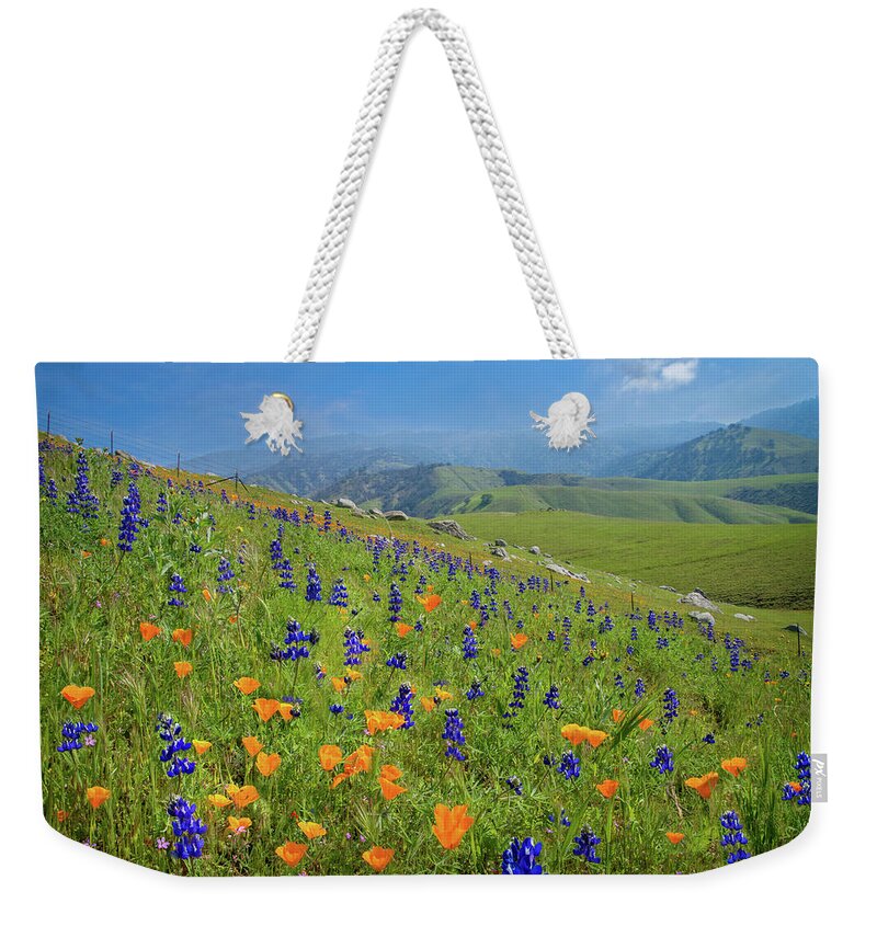 Arvin Weekender Tote Bag featuring the photograph Poppies and Lupines on Bear Mountain Road by Lynn Bauer