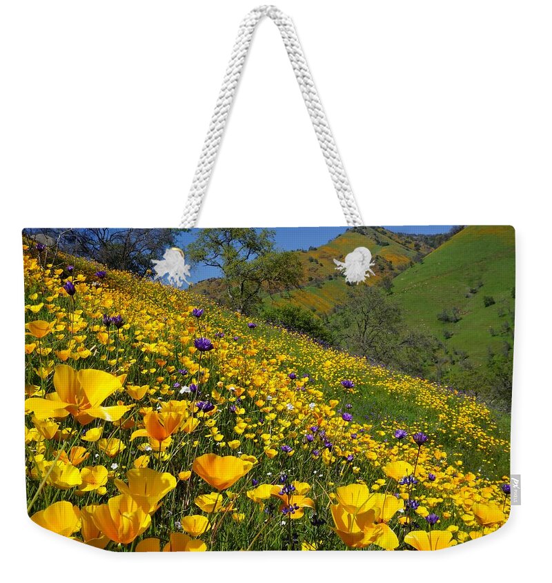 Poppies Weekender Tote Bag featuring the photograph Poppies Sierra Foothills by Brett Harvey