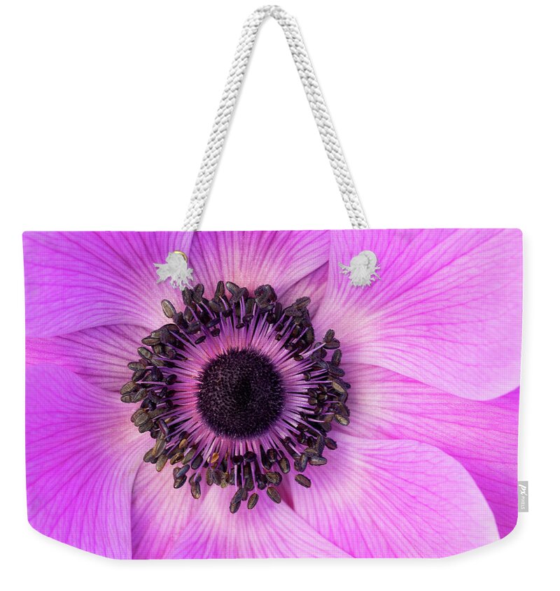 Flowers Weekender Tote Bag featuring the photograph Poppy Anemone by Patty Colabuono