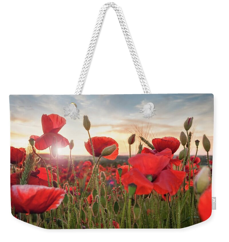 Scenics Weekender Tote Bag featuring the photograph Poppy Field At Sunset by Matt Walford