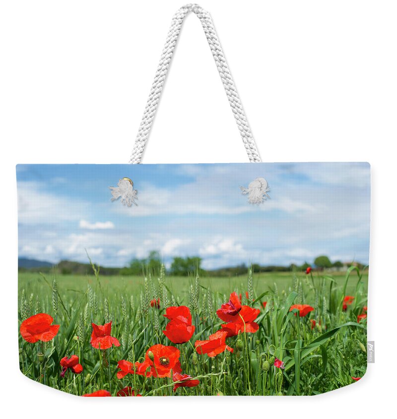 Grass Weekender Tote Bag featuring the photograph Poppy Field by Stockstudiox