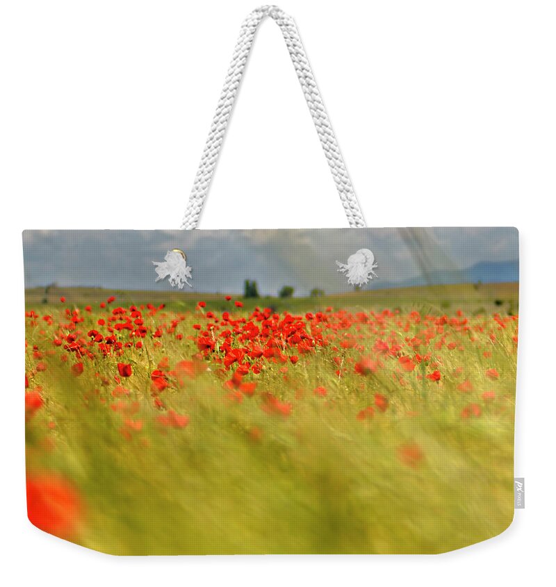 Wind Weekender Tote Bag featuring the photograph Poppy Field Under The Wind by Roberto G. Librán