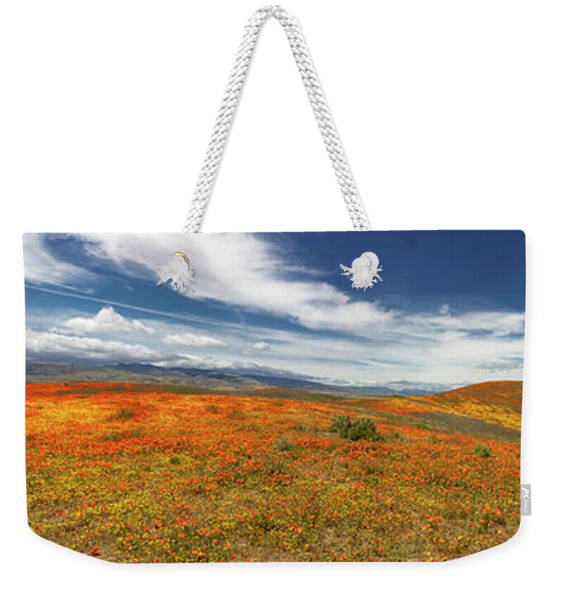 Antelope Valley Poppy Reserve Weekender Tote Bag featuring the photograph Poppy Reserve Panorama 2 by Endre Balogh