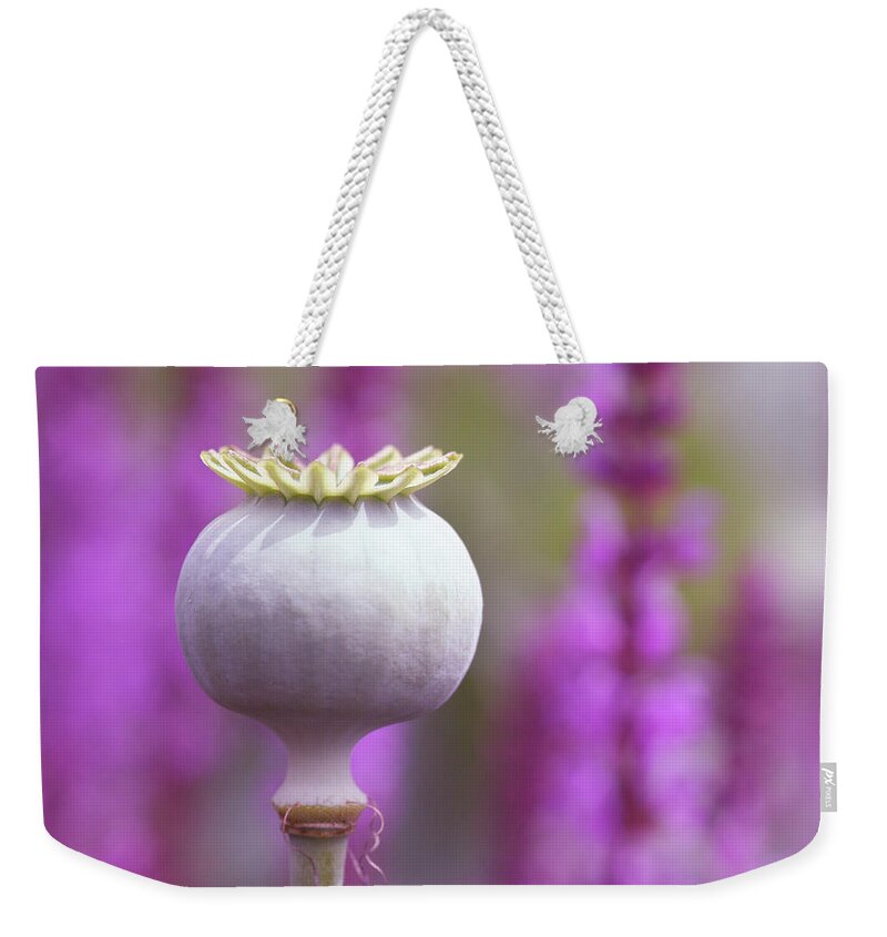 Outdoors Weekender Tote Bag featuring the photograph Poppy Seed Head, Purple Background by Www.zoepower.co.uk
