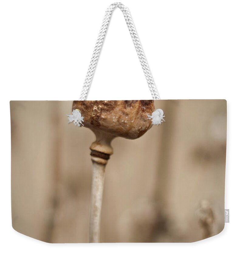 The End Weekender Tote Bag featuring the photograph Poppy Seed Pod by James Bye