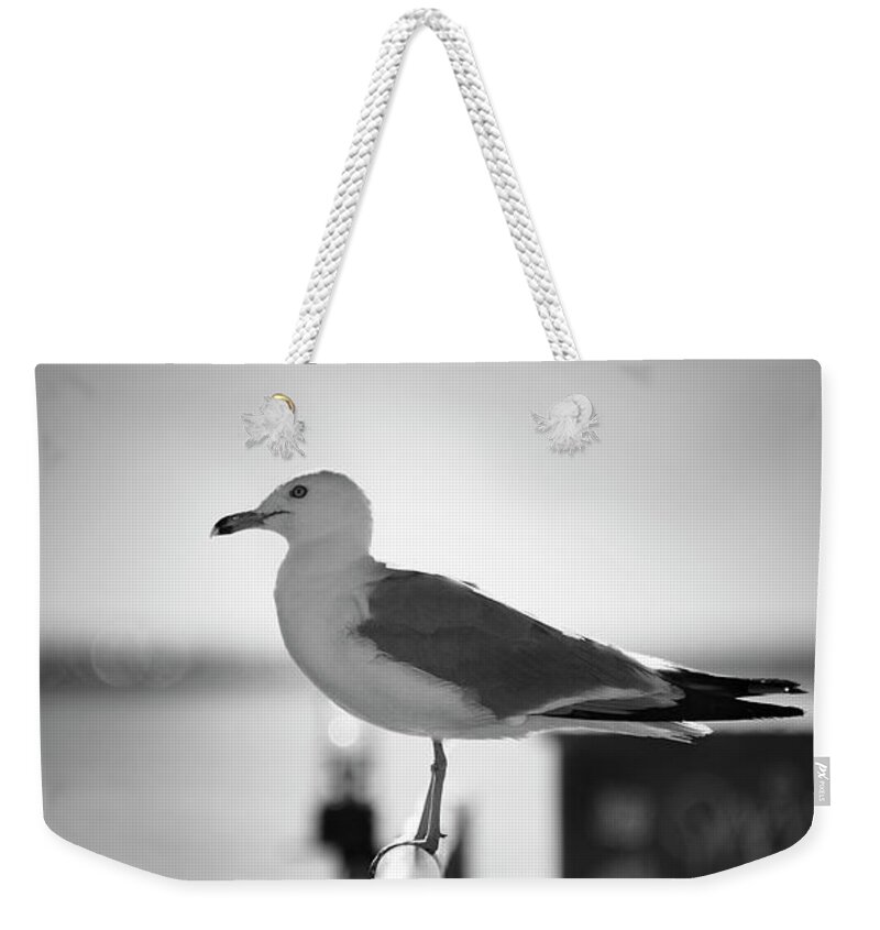 Blumwurks Weekender Tote Bag featuring the photograph Porcelain by Matthew Blum