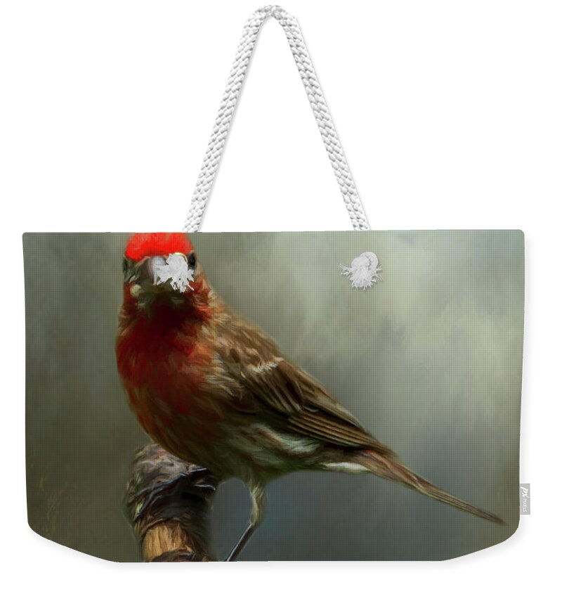 Avian Weekender Tote Bag featuring the photograph Portrait of a House Finch by Cathy Kovarik