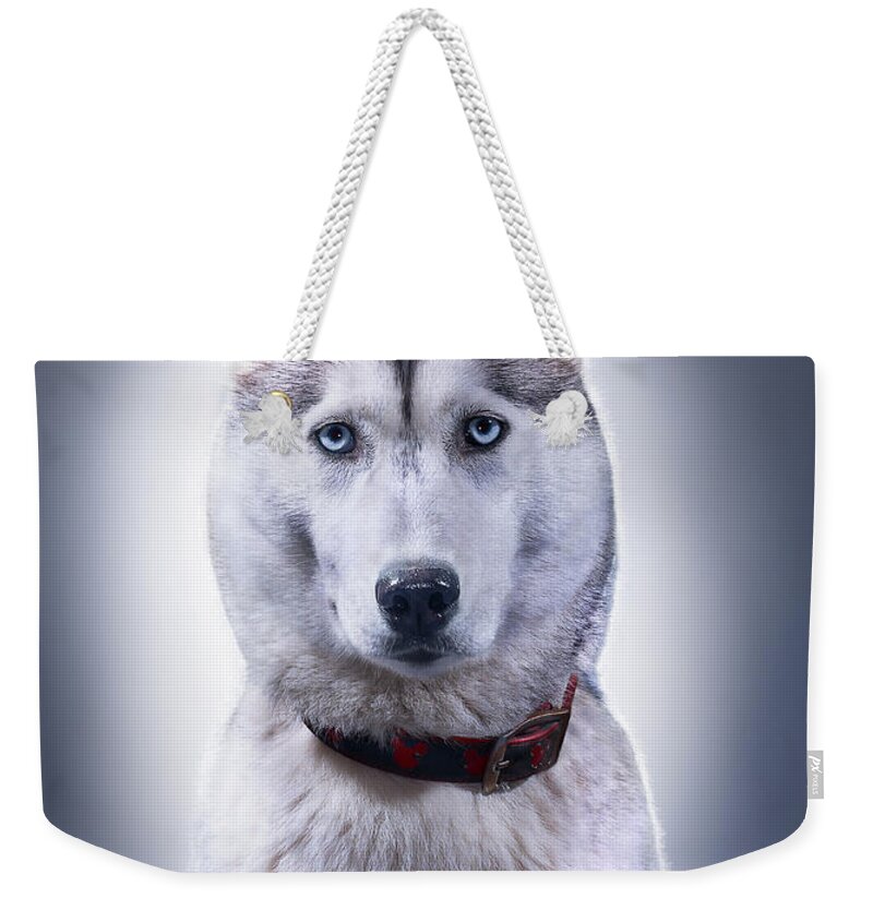 Three Quarter Length Weekender Tote Bag featuring the photograph Portrait Of Husky by Gandee Vasan
