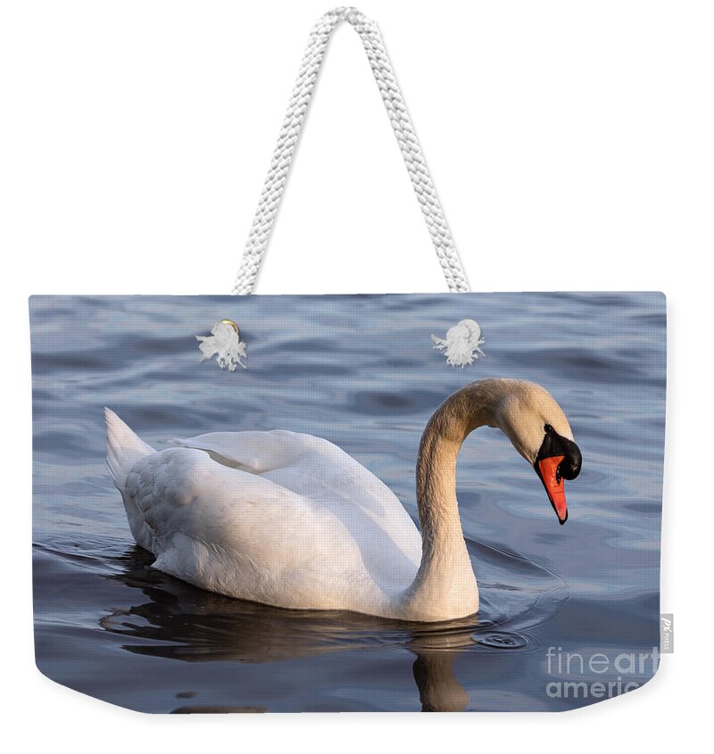 Photography Weekender Tote Bag featuring the photograph Posing Swan by Alma Danison