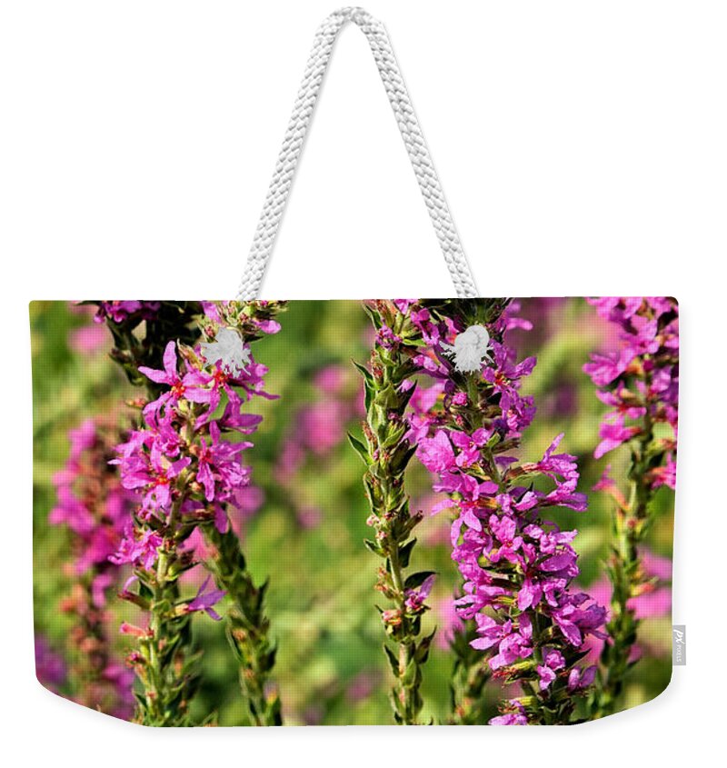 Delphinium Weekender Tote Bag featuring the photograph Potomac Summer No.1 by Steve Ember