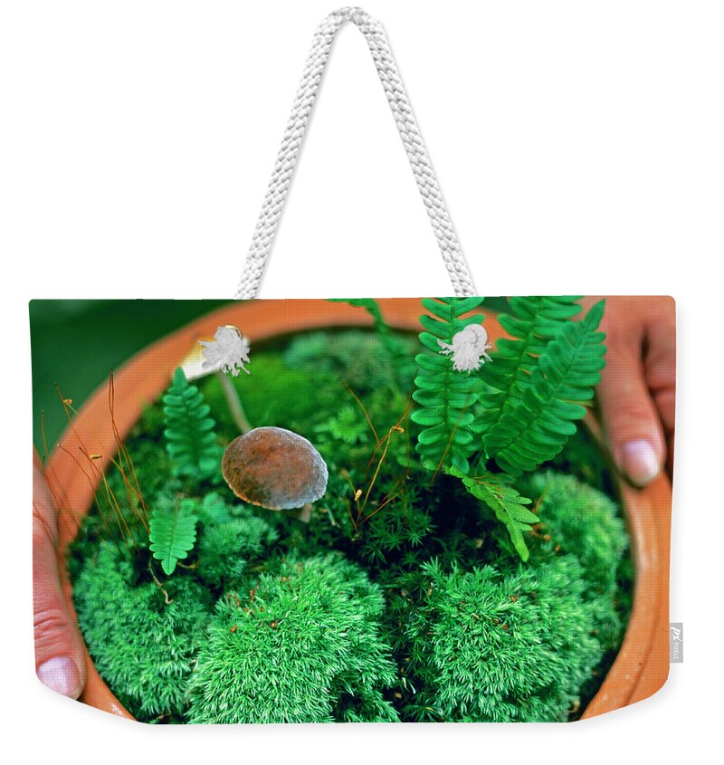 People Weekender Tote Bag featuring the photograph Potted Moss by Richard Felber