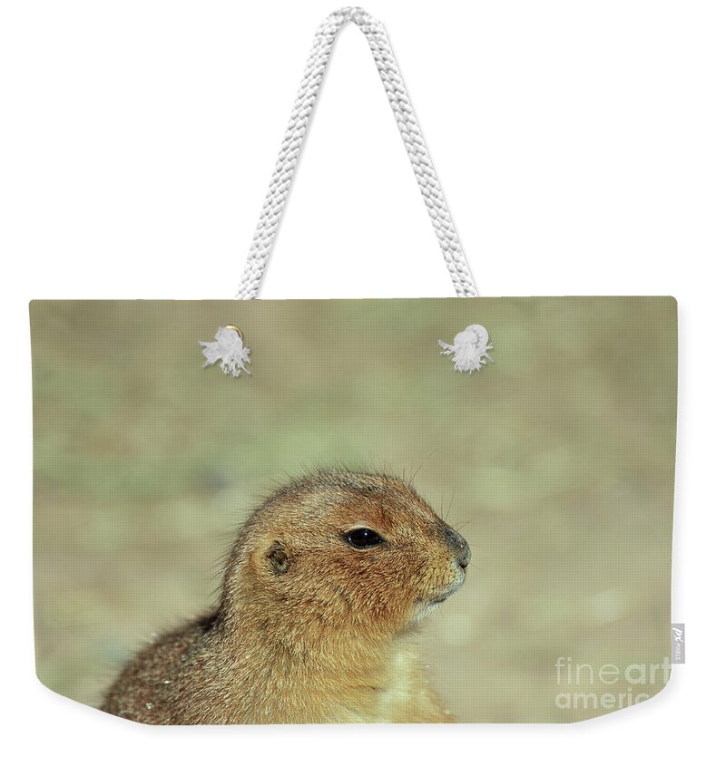 Rodentia Weekender Tote Bag featuring the photograph Prairie Dog Portrait by Robert WK Clark