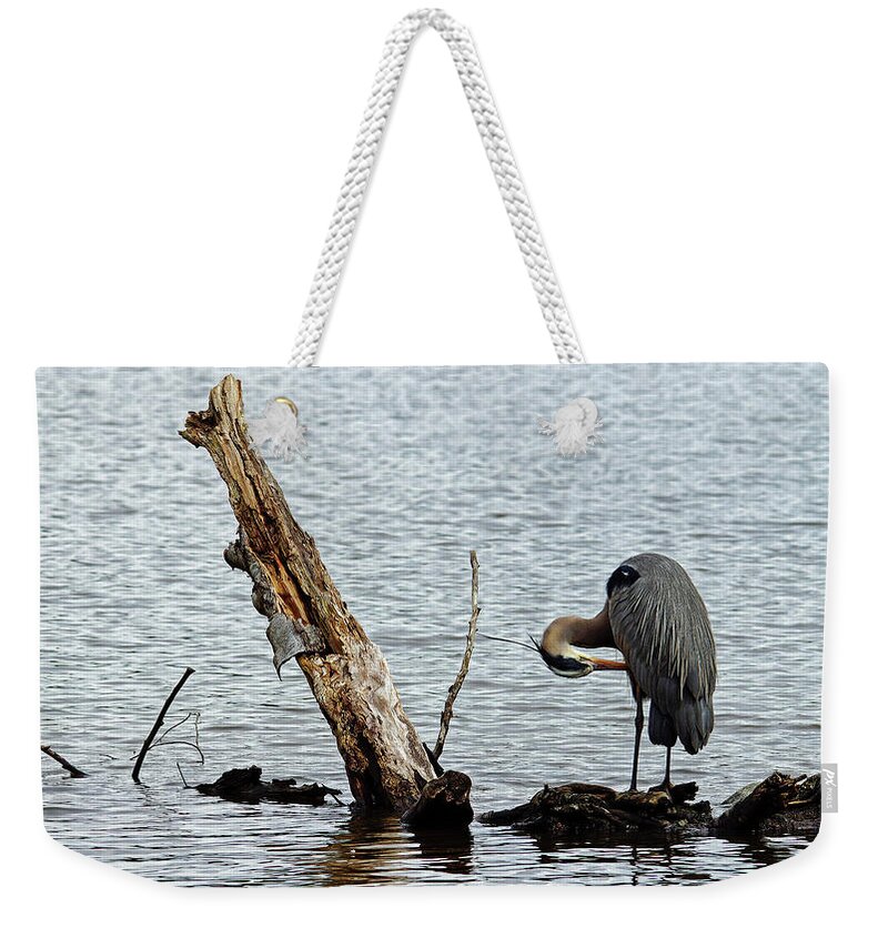 Heron Weekender Tote Bag featuring the photograph Preening by Cameron Wood