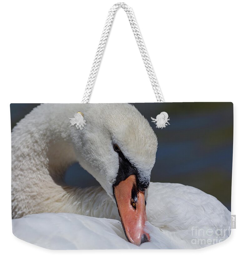 Photography Weekender Tote Bag featuring the photograph Preening Close up by Alma Danison