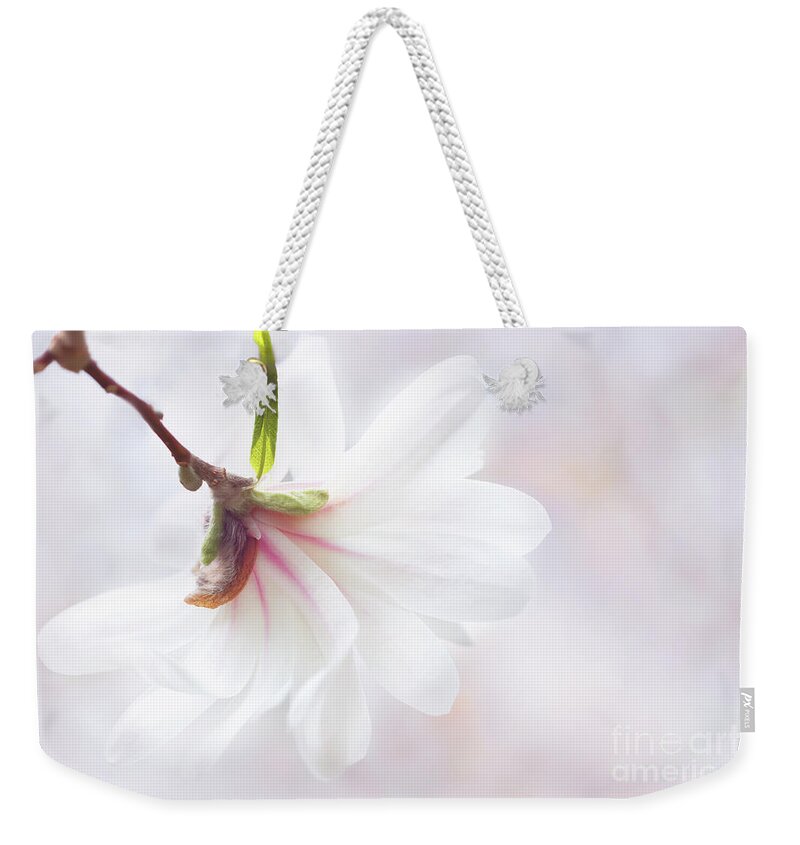 Star Magnolia Weekender Tote Bag featuring the photograph Pretty in Pastel Star Magnolia by Anita Pollak