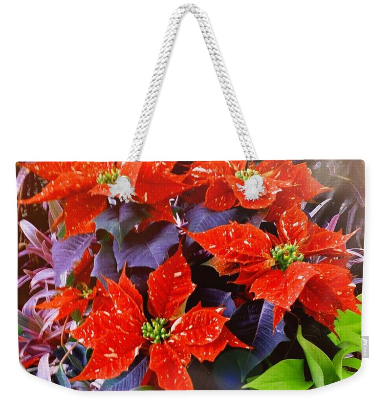 Poinsettias Weekender Tote Bag featuring the photograph Pretty Poinsettias by Ally White