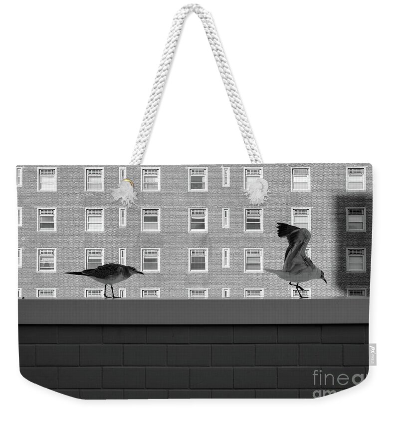 Urban Weekender Tote Bag featuring the photograph Prey by Len Tauro