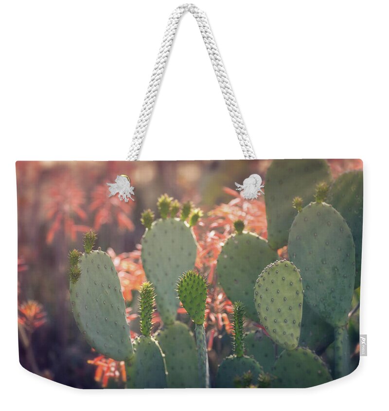 Prickly Pear Cactus Weekender Tote Bag featuring the photograph Prickly Pear And Aloe Flowers by Saija Lehtonen
