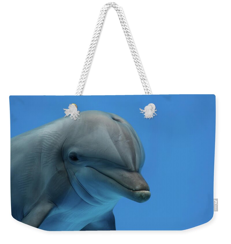 Underwater Weekender Tote Bag featuring the photograph Primer Plano Delfin by Alba Guapo