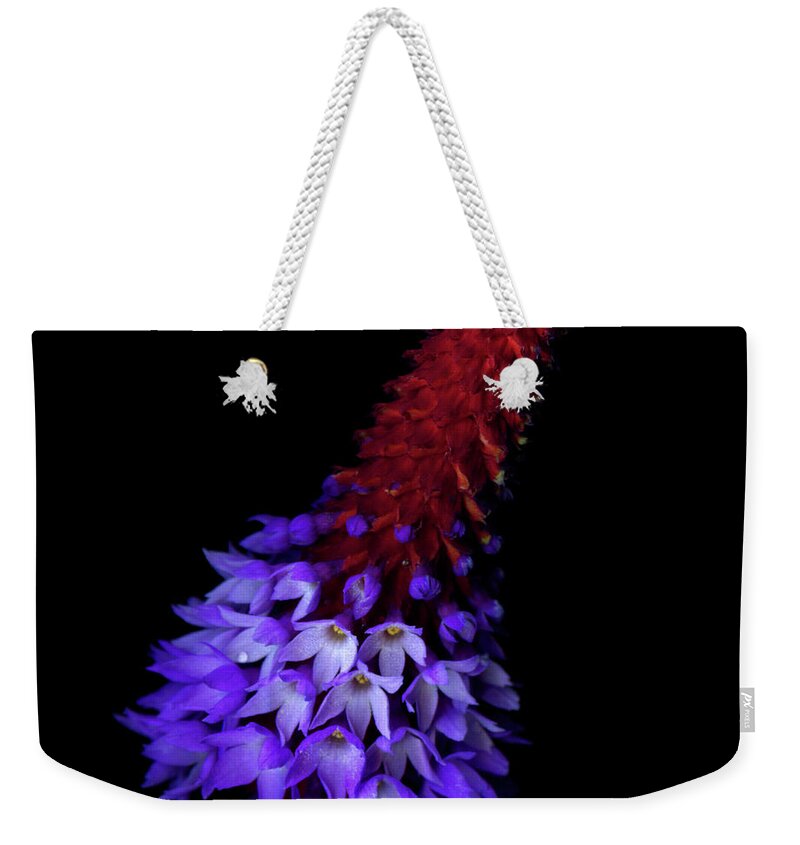 Primula Weekender Tote Bag featuring the photograph Primula Vialii by Photograph By Magda Indigo