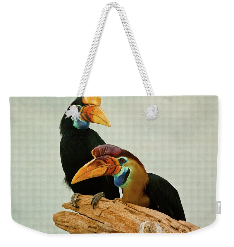 Animal Themes Weekender Tote Bag featuring the photograph Prism by Wassim Samara