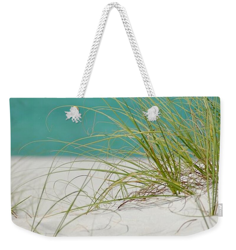 Sand Weekender Tote Bag featuring the photograph Proecting The Dunes by Dennis Schmidt