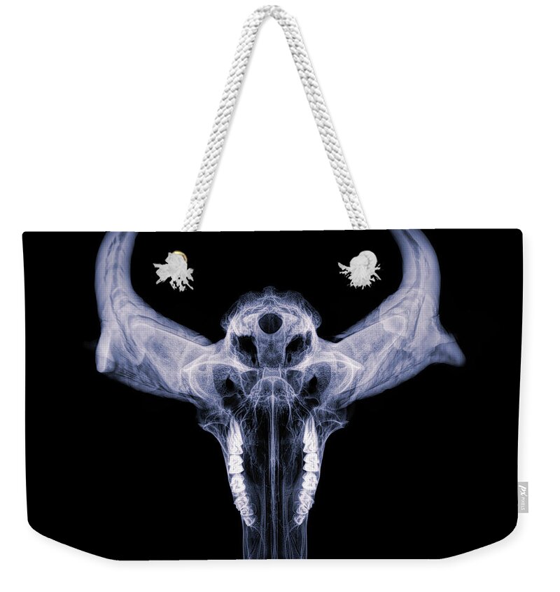 Kansas Weekender Tote Bag featuring the photograph Pronghorn x-ray 01 by Rob Graham
