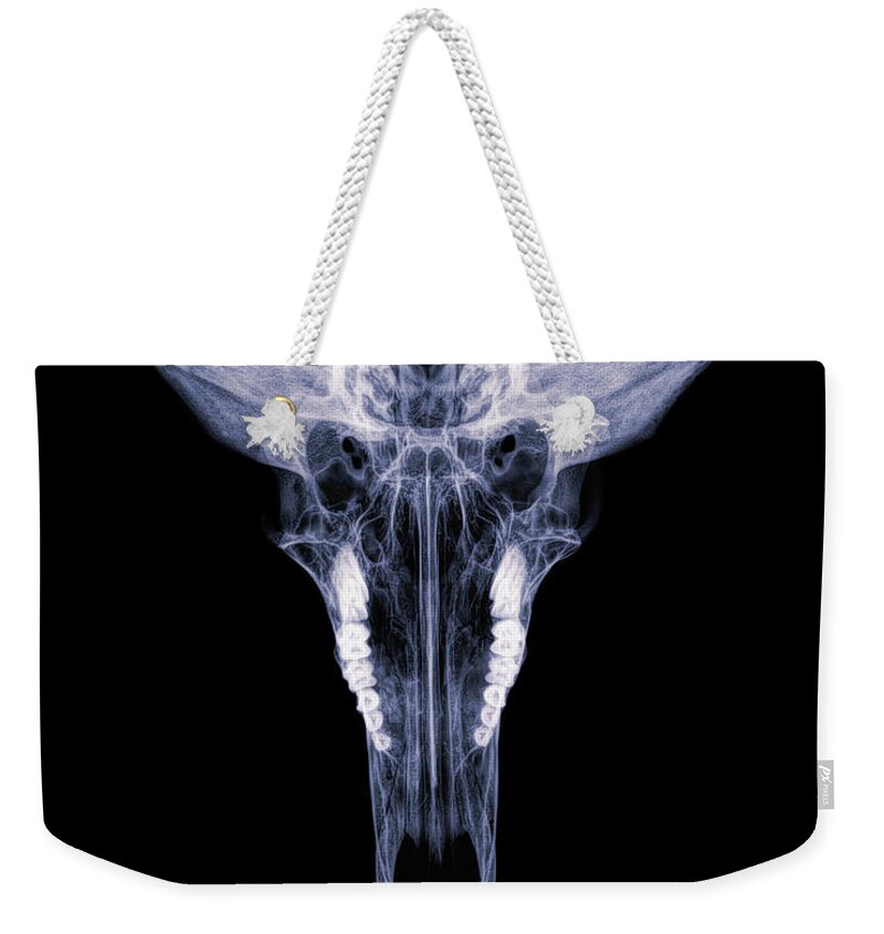 Kansas Weekender Tote Bag featuring the photograph Pronghorn x-ray 04 by Rob Graham