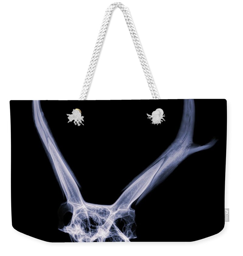 Kansas Weekender Tote Bag featuring the photograph Pronghorn x-ray 05 by Rob Graham