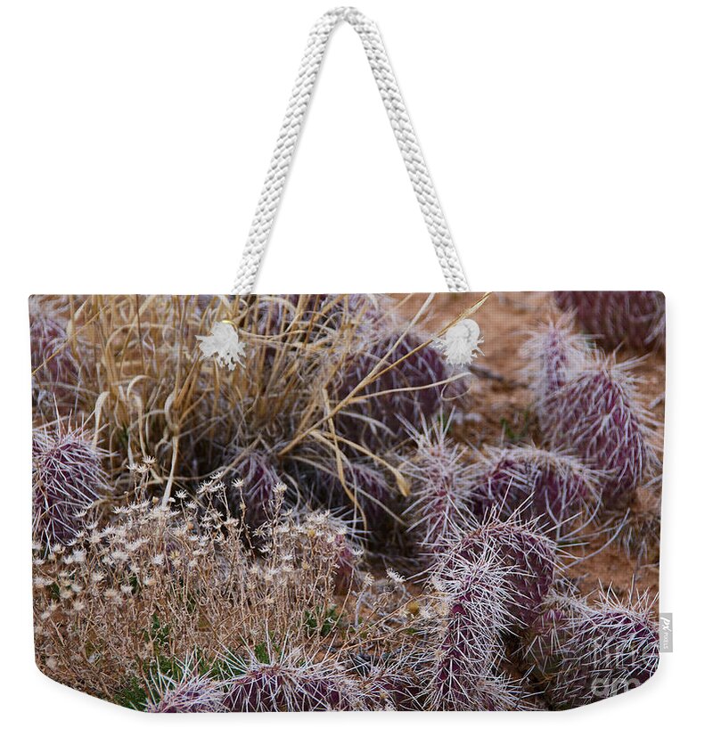 New Mexico Desert Weekender Tote Bag featuring the photograph Protected Flowers by Robert WK Clark
