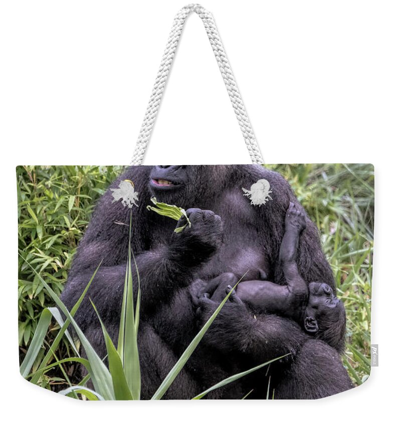Mammals Weekender Tote Bag featuring the photograph Proud Mama Silverback 6243 by Donald Brown