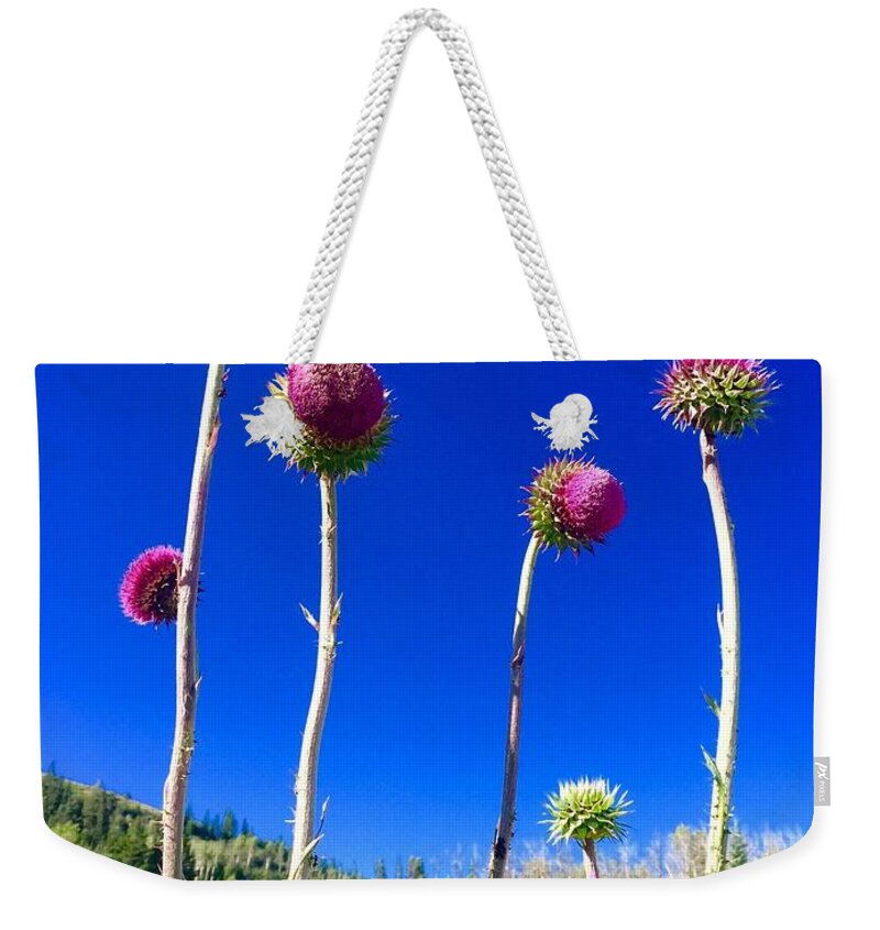  Weekender Tote Bag featuring the digital art Proud Mountain Flowers by Cindy Greenstein