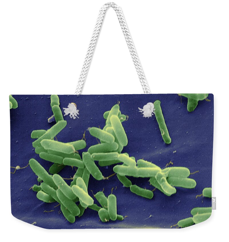 Aerobic Weekender Tote Bag featuring the photograph Pseudomonas Aeruginosa by Oliver Meckes EYE OF SCIENCE