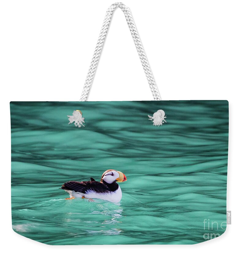 Puffin Weekender Tote Bag featuring the photograph Puffin in Resurrection Bay, Alaska by Lyl Dil Creations