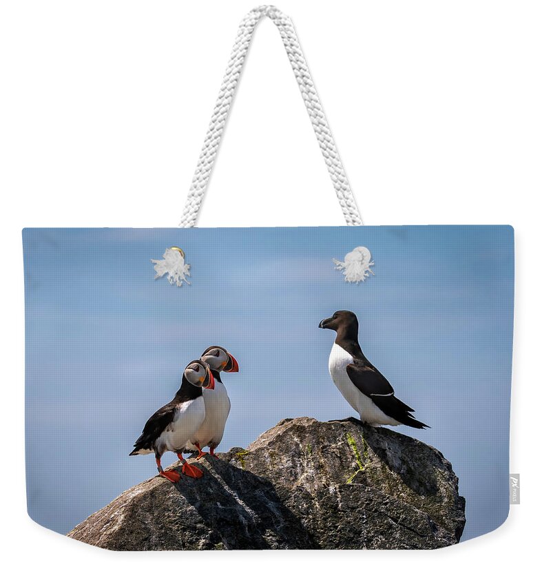 Atlantic Puffin Weekender Tote Bag featuring the photograph Puffins and Razorbill by C Renee Martin