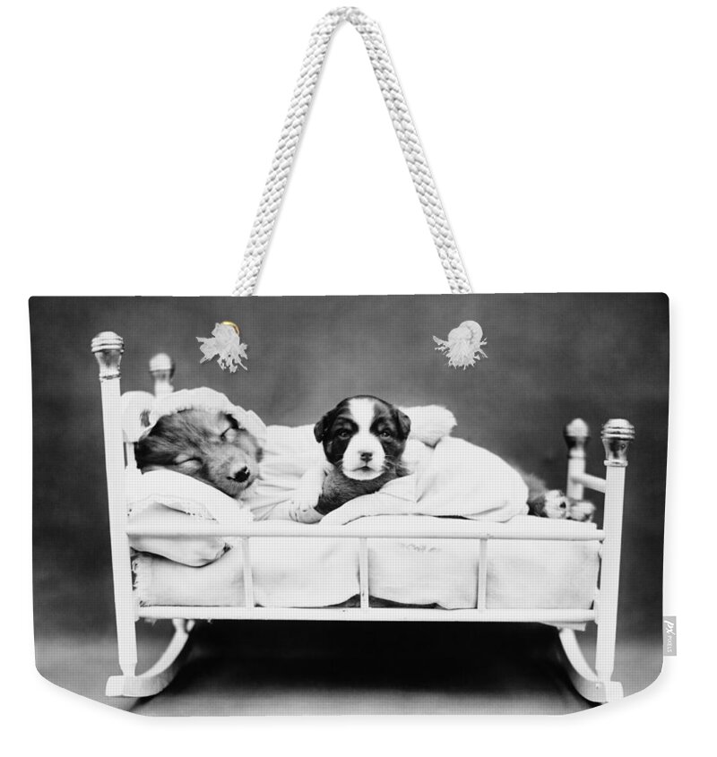 Puppies Weekender Tote Bag featuring the photograph Puppies In Bed - When Bedtime Comes - Harry Whittier Frees by War Is Hell Store