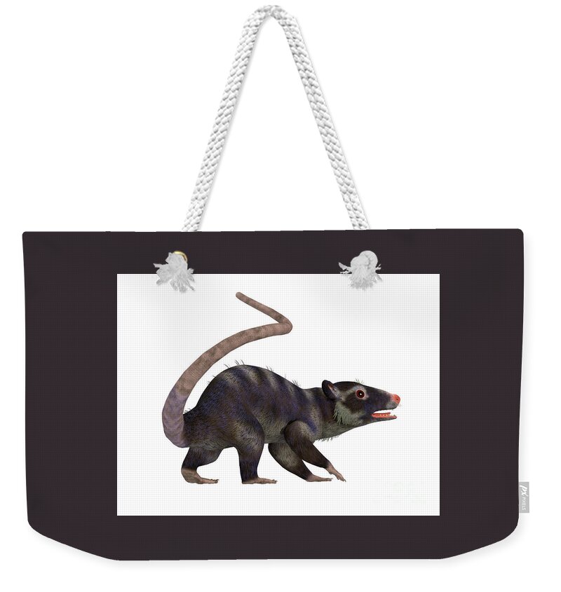 Purgatorius Weekender Tote Bag featuring the digital art Purgatorius Primate Tail by Corey Ford
