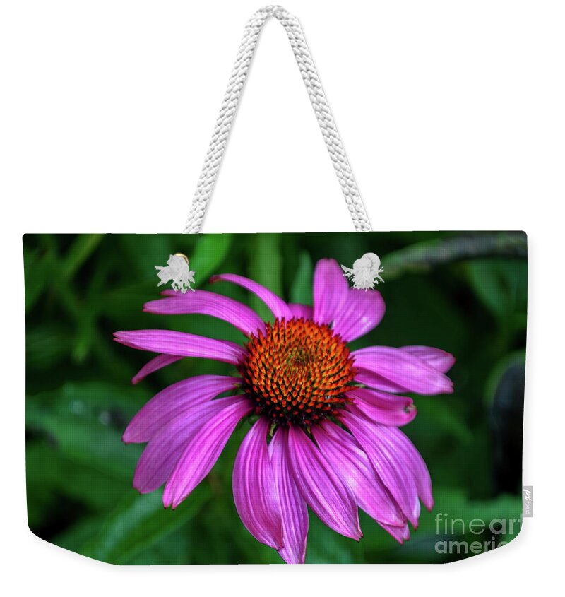 Michelle Meenawong Weekender Tote Bag featuring the photograph Purple Cone Flower by Michelle Meenawong