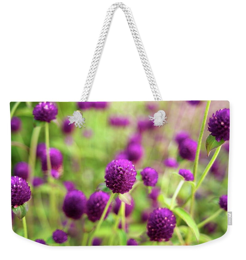 Purple Weekender Tote Bag featuring the photograph Purple Flowers In A Garden by Takuya Asada