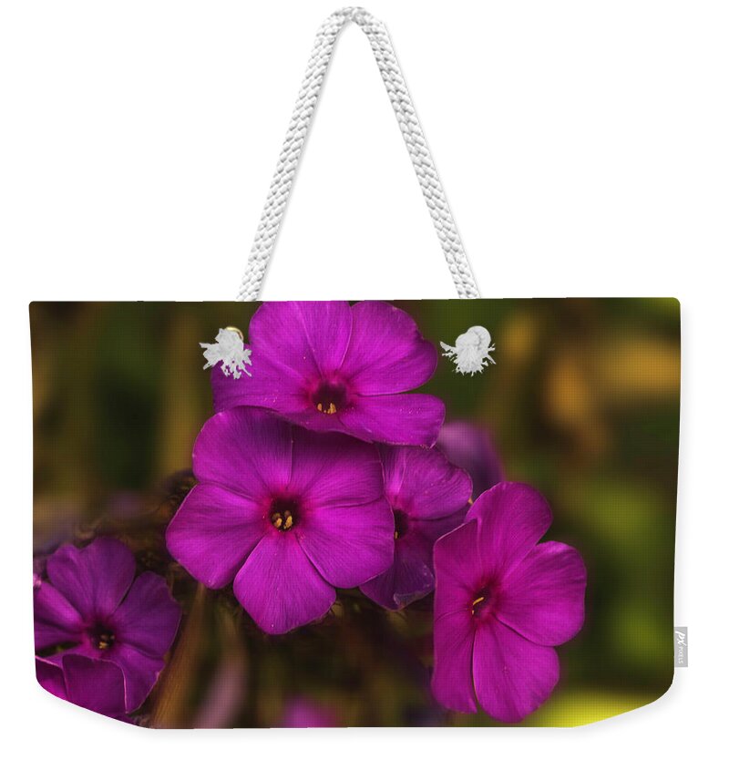 Purple Weekender Tote Bag featuring the photograph Purple Flowers of Fall by Pheasant Run Gallery