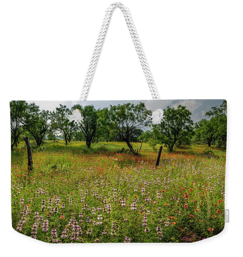 Texas Wildflowers Weekender Tote Bag featuring the photograph Purple Horsemint Glory by Johnny Boyd