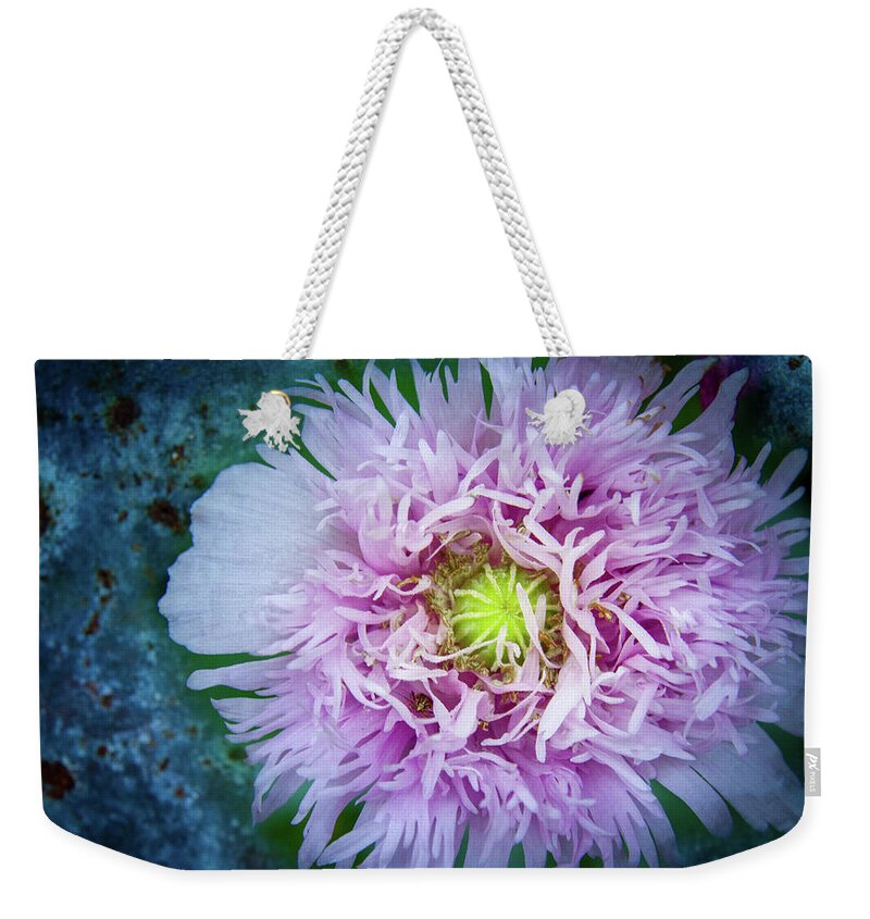 Purple Poppy Weekender Tote Bag featuring the photograph Purple Poppy by Jean Noren